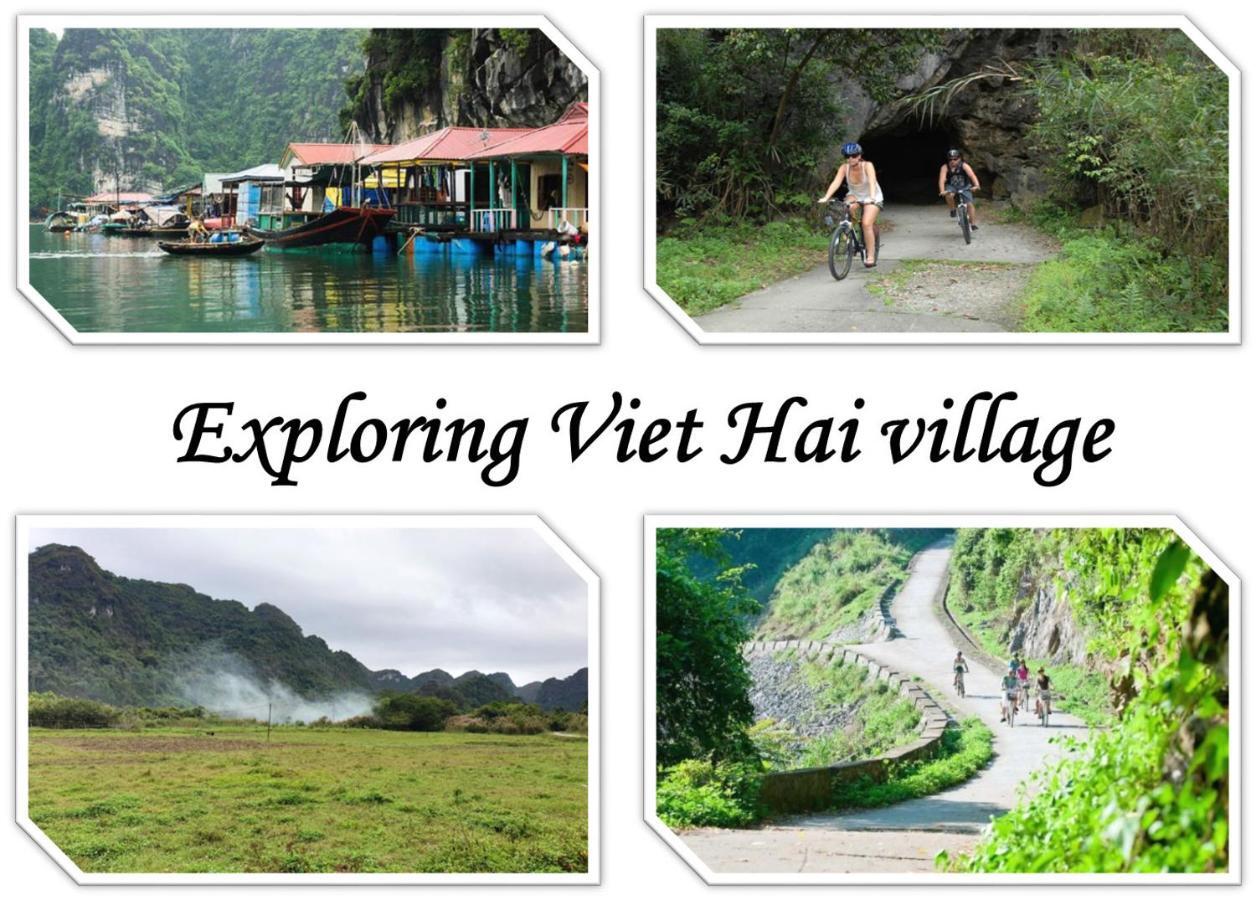Domik Homestay - Cát Bà Dong Khe Sau Eksteriør bilde