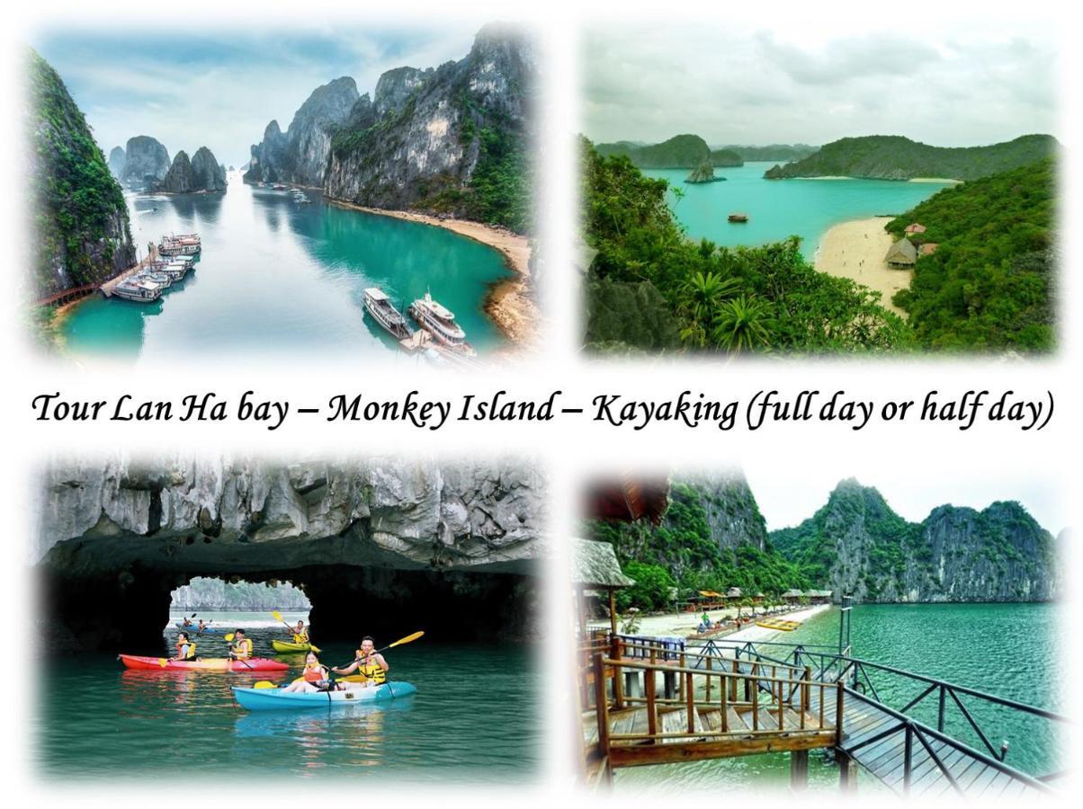 Domik Homestay - Cát Bà Dong Khe Sau Eksteriør bilde